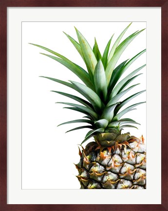 Framed Pineapple (color) Print