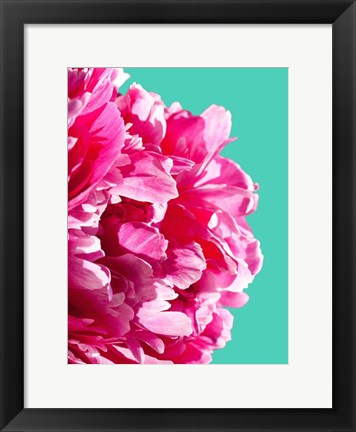 Framed Pink Peony Print