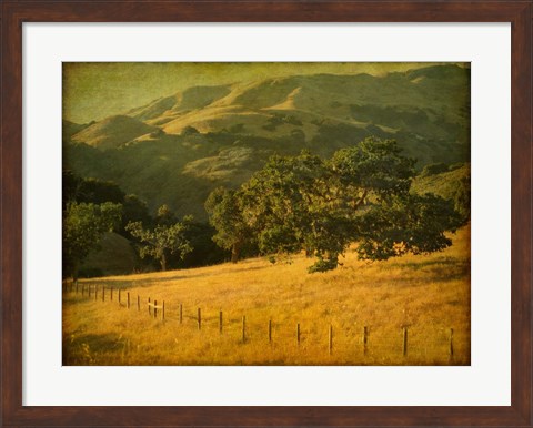 Framed Oak and Fence Print