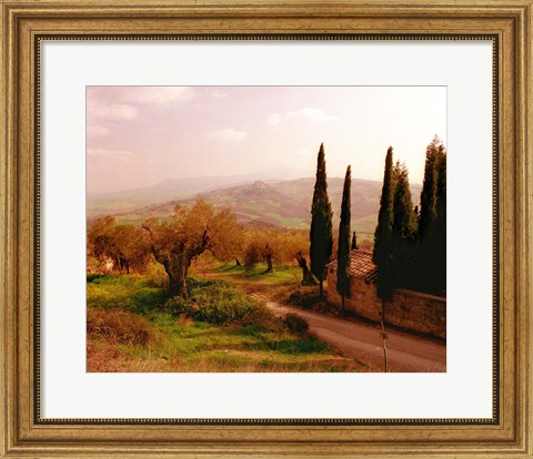 Framed Toscana, Italia No. 709 Print