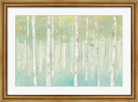Framed Birches at Sunrise Print