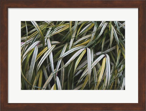Framed Leafy IV Print