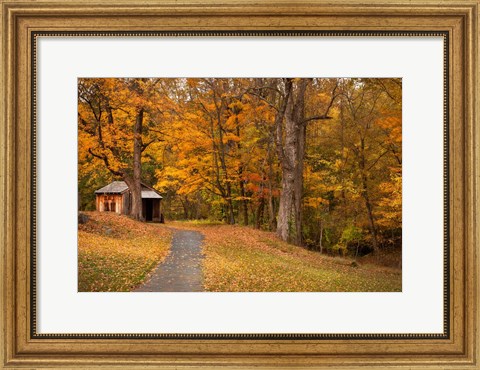 Framed Autumn Home Print