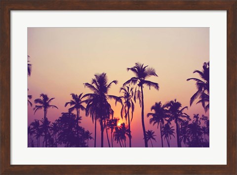 Framed Palm Sky 1 Print
