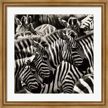 Framed Camouflage II Print