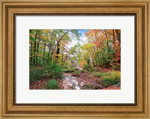 Framed Autumn at Hopkins Pond Print