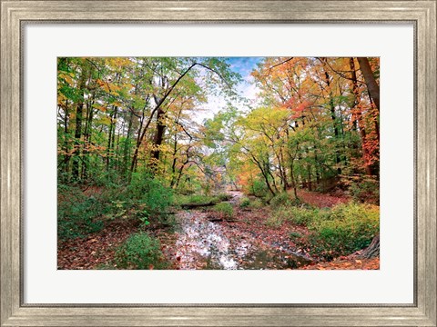 Framed Autumn at Hopkins Pond Print