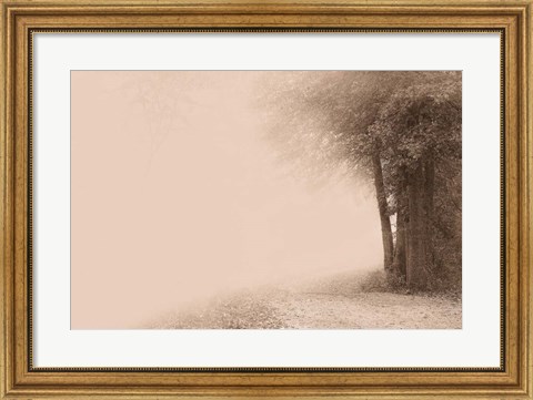 Framed Gate to Infinity Print