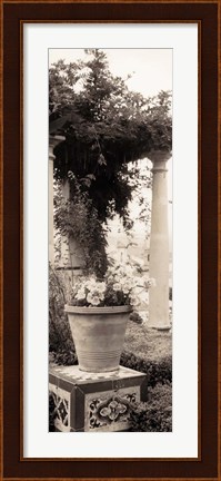 Framed Jardin Botanico Print