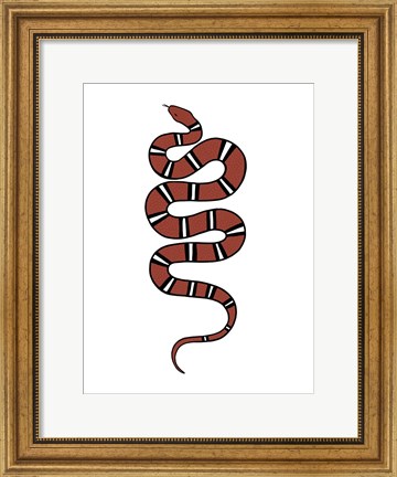 Framed Epidaurus Snake VI Print