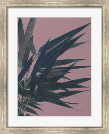 Framed Bamboo Pink I Print