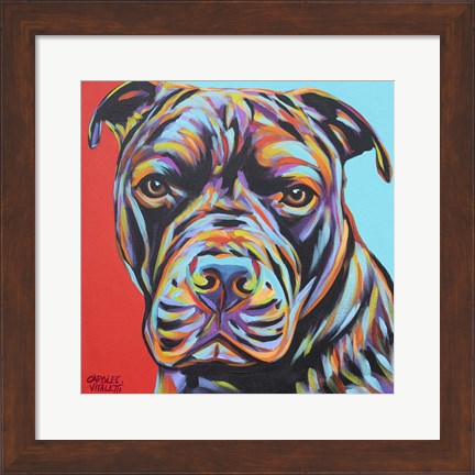 Framed Canine Buddy III Print