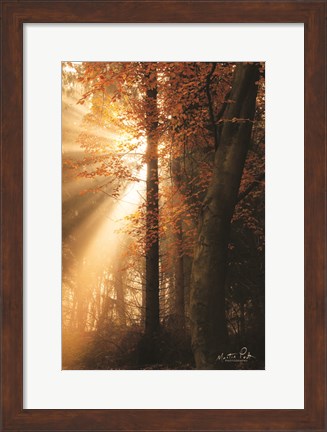Framed Best of Autumn Print