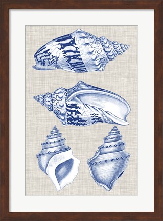 Framed Navy &amp; Linen Shells II Print