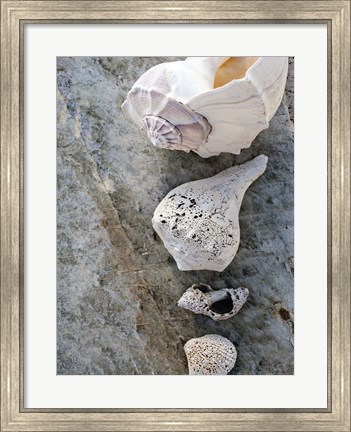 Framed Gifts of the Shore IX Print