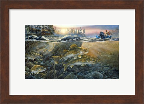Framed Walleyes On The Rocks Print
