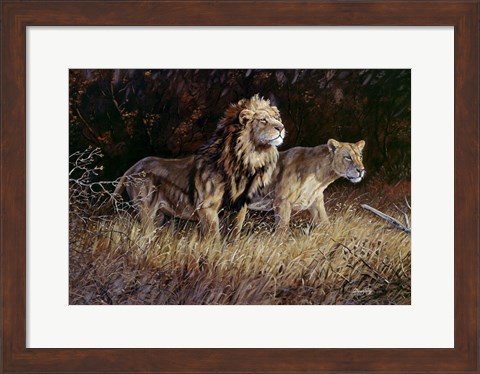Framed Lions Print