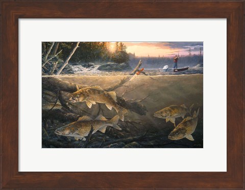 Framed Walleye In The Wood Print