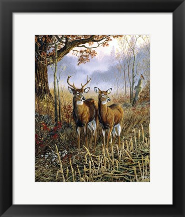 Framed Country Treasures Print