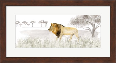 Framed Serengeti Lion horizontal panel Print