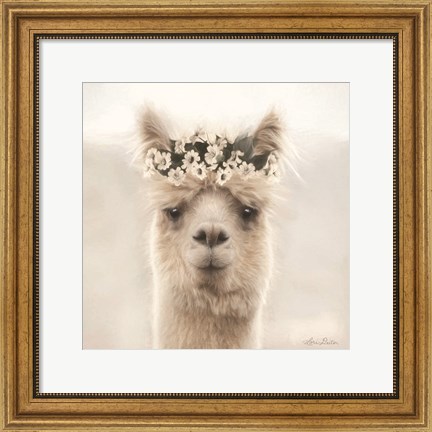 Framed Alpaca with Flowers Print