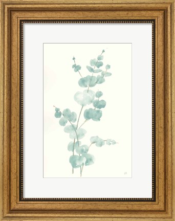 Framed Eucalyptus Branch II Print