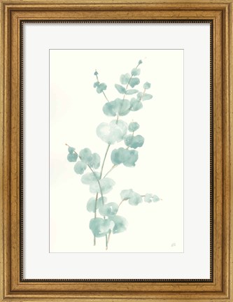 Framed Eucalyptus Branch II Print
