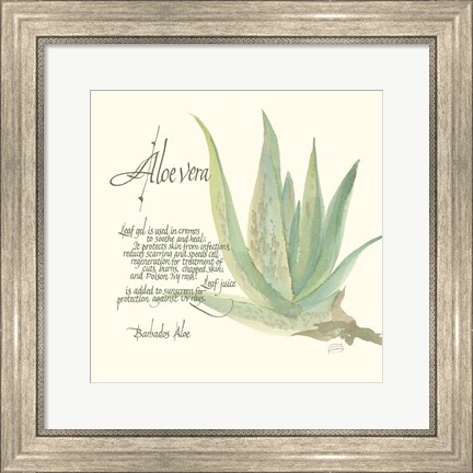 Framed Aloe Vera Print