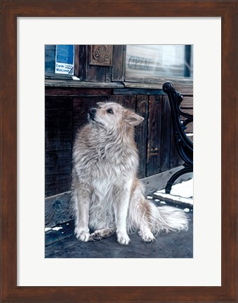 Framed No Dogs Allowed Print