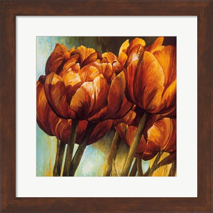 Framed Floral Radiance I Print