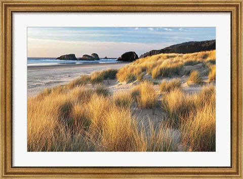 Framed Dune Grass And Beach Print