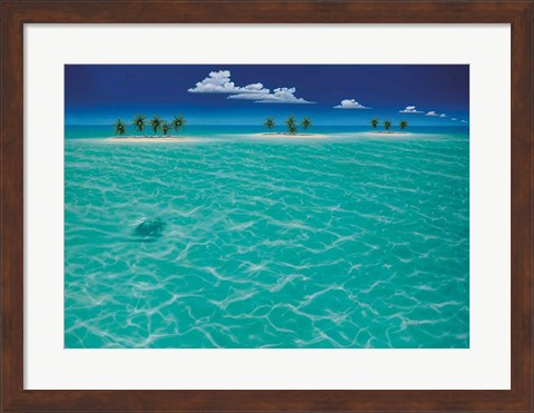 Framed Turtle Crossing Print