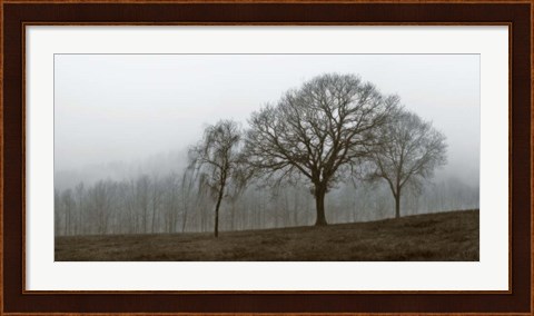 Framed Autumn Fog Print