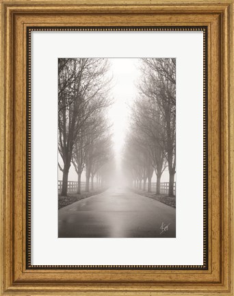 Framed Curious Road Print
