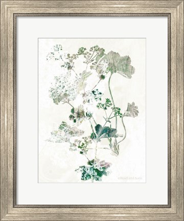 Framed Geranium Botanical Print