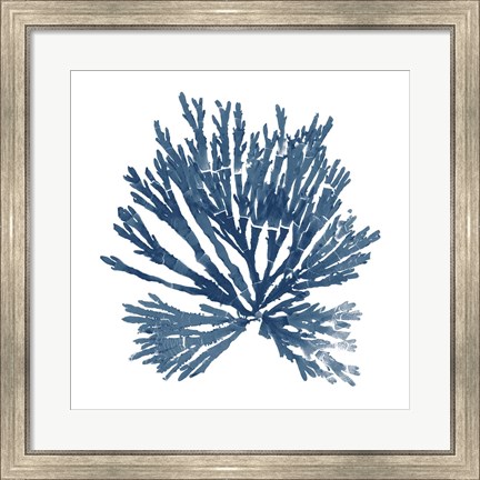 Framed Pacific Sea Mosses Blue on White II Print