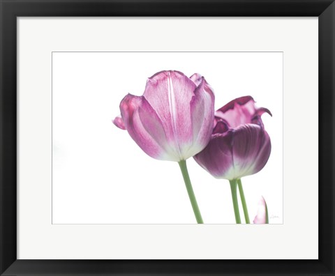 Framed Tulip Time I Print