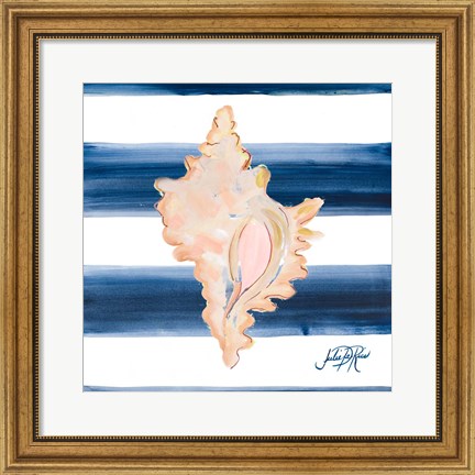 Framed Nautical Shell II Print