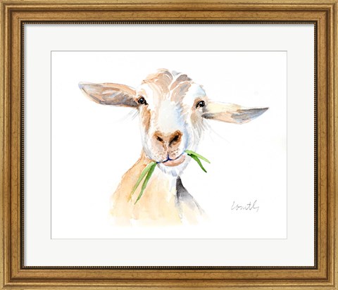 Framed Goat III Print