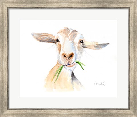 Framed Goat III Print