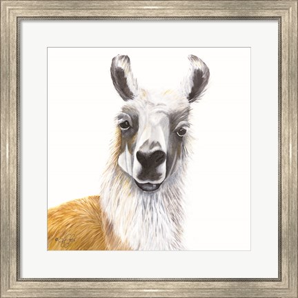 Framed Alpaca Print