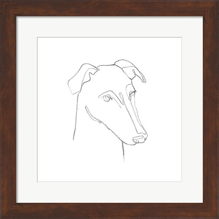Framed Greyhound Pencil Portrait II Print