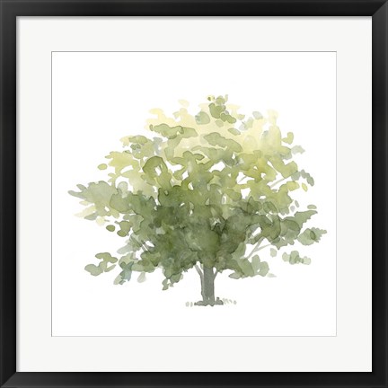 Framed Lonely Oak I Print
