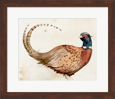 Framed Pheasantry I Print