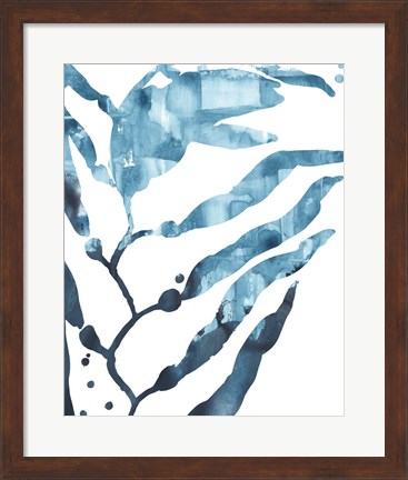 Framed Inkwash Kelp I Print
