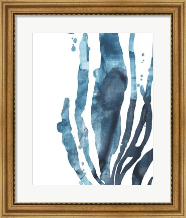 Framed Inkwash Kelp IV Print