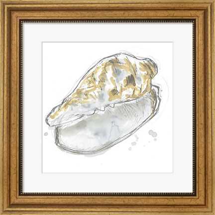 Framed Citron Shell Sketch IV Print