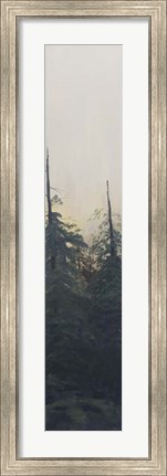 Framed Pacific Northwest Panel VI Print