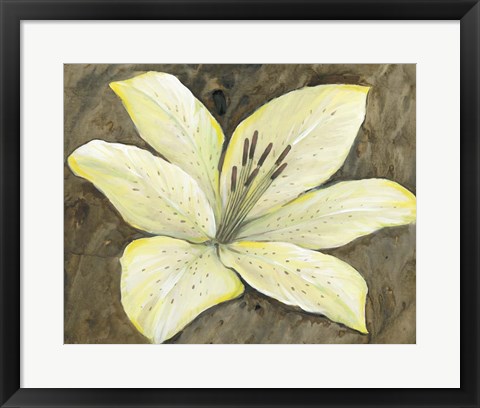 Framed Neutral Lily I Print