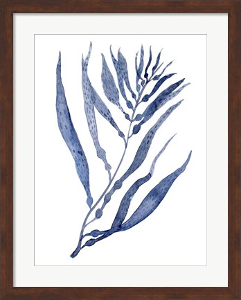 Framed Seaweed Under Water III Print
